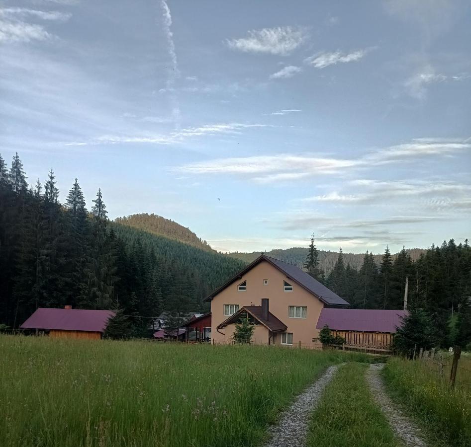 Cabana Colt De Rai Hotel Lepus Kültér fotó